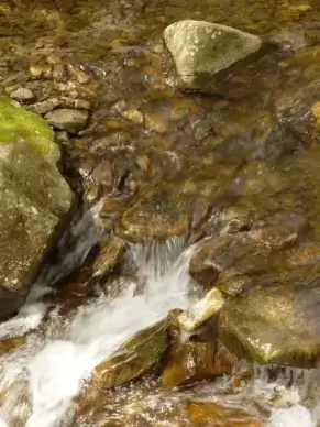 rocky creek