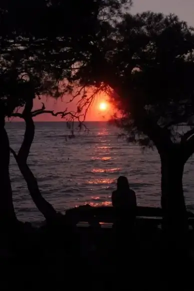 romantic sunshine