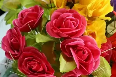 rose