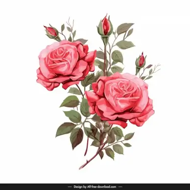 rose flower design elements elegant classic handdraw