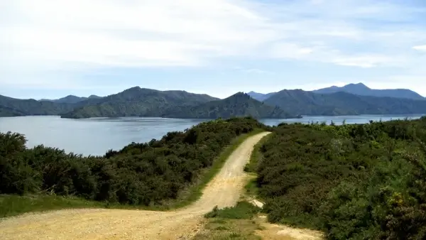 rugged path through wilderness over water
