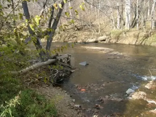 running creek