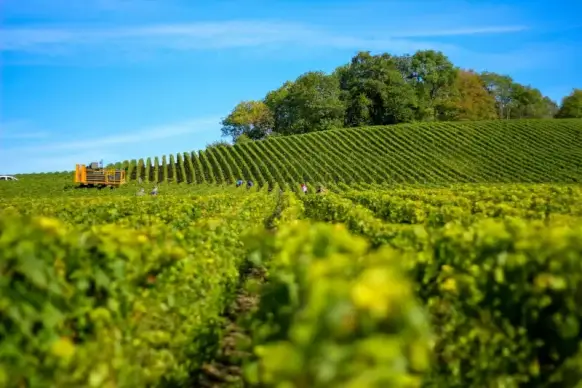 rural farm scenery picture bright modern elegance 