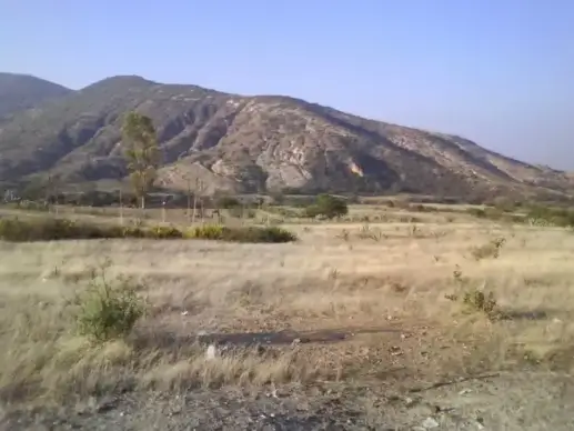 rural landscape