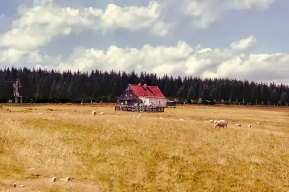 rural scene picture cottage meadow cloudy sky