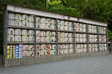 sake barrels drink