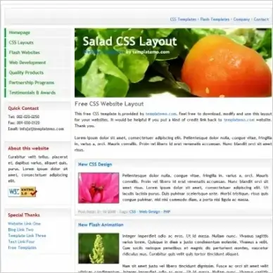  salad