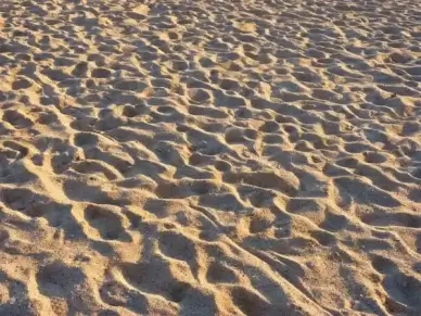 sand beach holiday