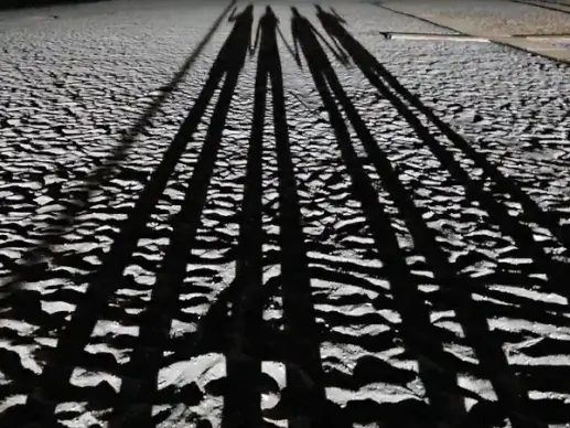 sand beach shadow