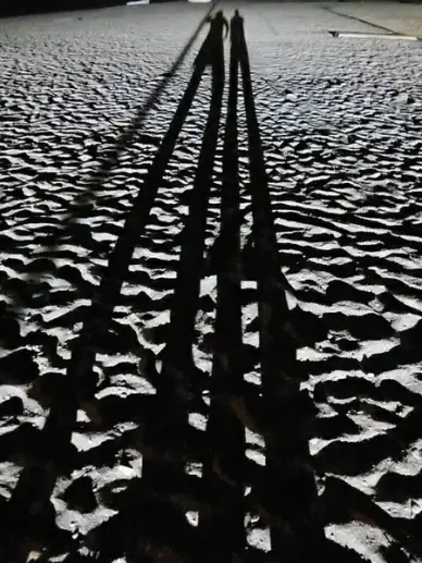 sand beach shadow