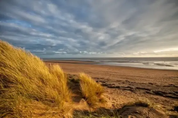 sand dunes