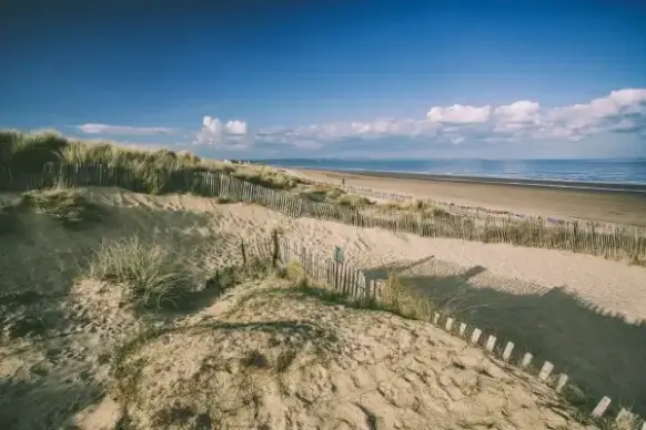 sand dunes