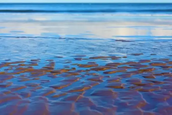 sand texture and the sea