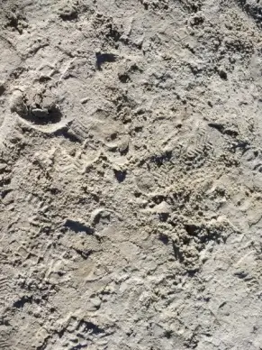 sandy beach