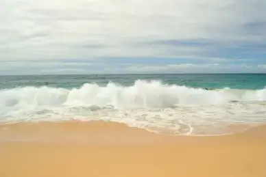 sandy beach waves