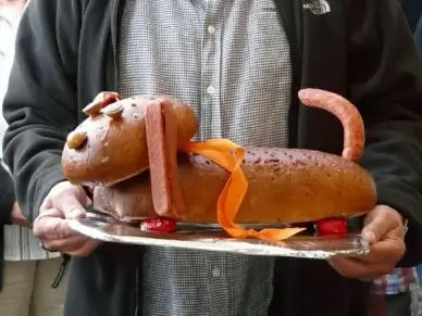 sausage dog dog wurstwaldi