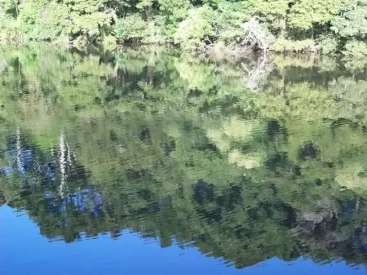 scenic water reflection
