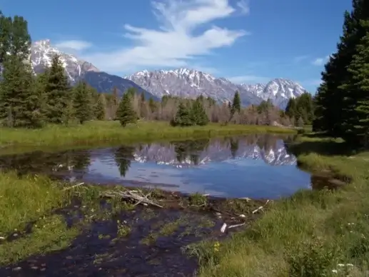 schwabacher landing grand teton national park wyoming