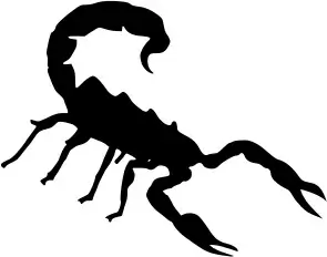 Scorpion