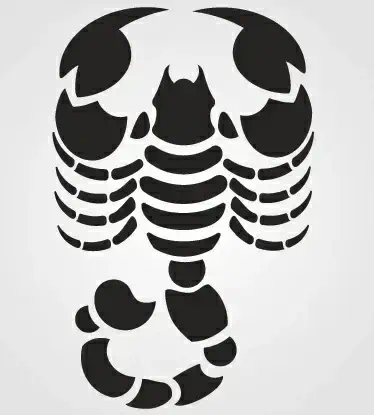 scorpion silhouette vector set