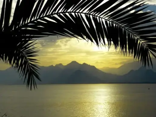 sea abendstimmung horizon