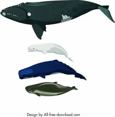 sea creatures icons swimming whale dolphin design