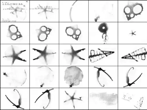 sea lore photoshop brush