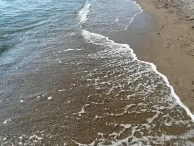 sea sand beach wave