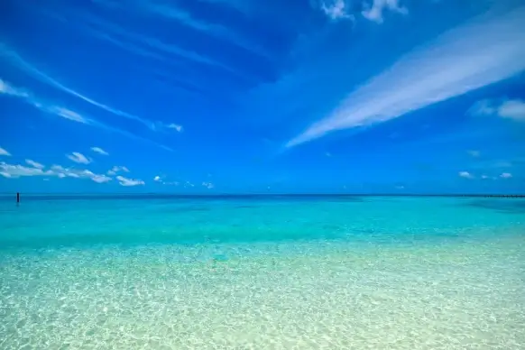 sea scene picture elegant bright tranquil 