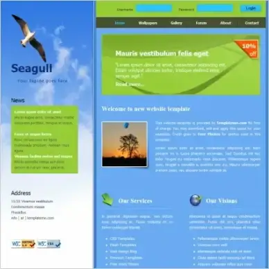  seagull
