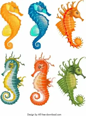 seahorse icons collection colorful cartoon sketch
