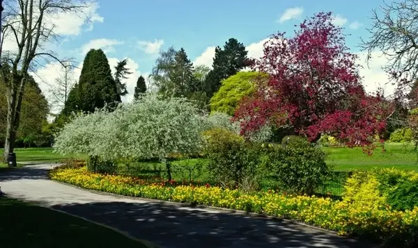 season in the park