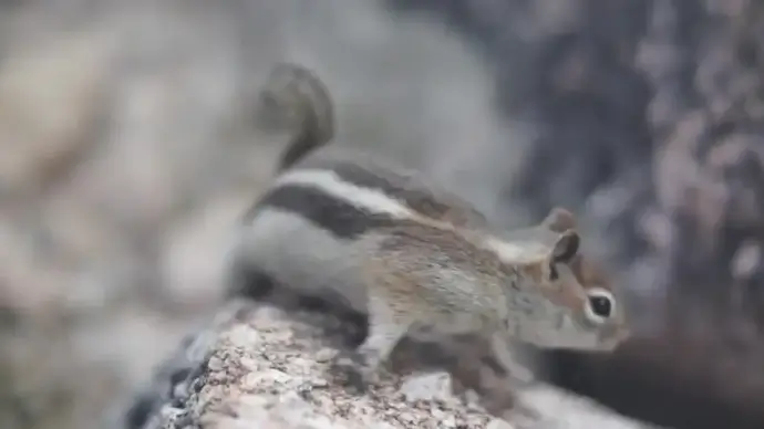 self clip of camping activity in wild nature
