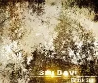 Seu Davi Grunge-Rust Brush