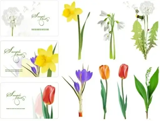 several flowers vector
