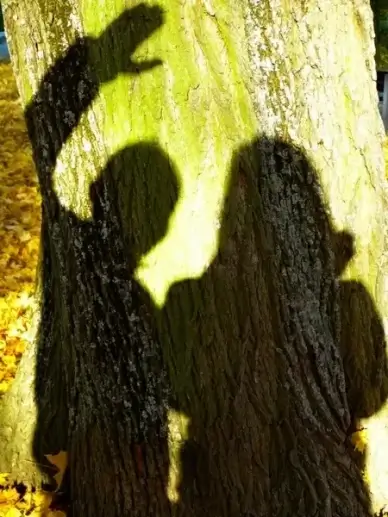 shadow outline light and shadow
