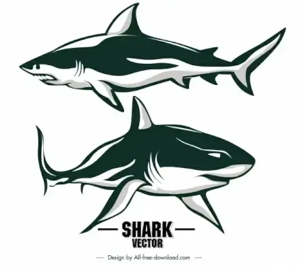 shark icons classic handdrawn sketch
