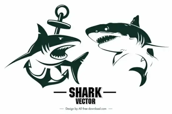 shark tattoo icons dynamic sketch