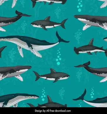 sharks whales pattern swimming species sketch
