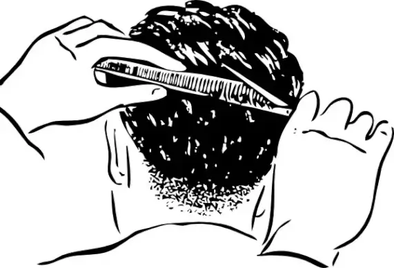 Shears And Comb clip art