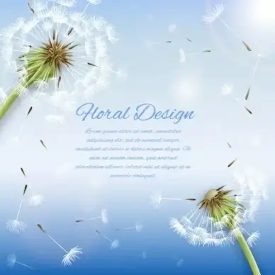 shiny dandelion vector backgrounds