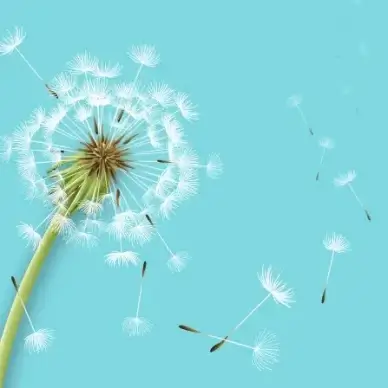 shiny dandelion vector backgrounds