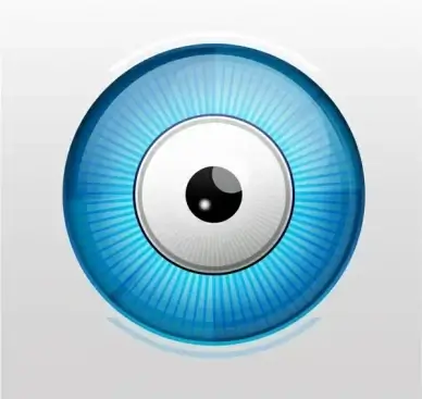 Shiny vector eye
