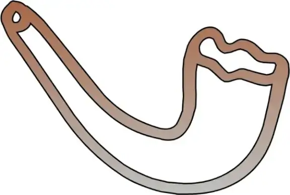 Shofar