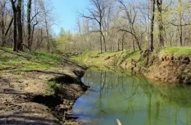 shore of the brook in st louis missouri