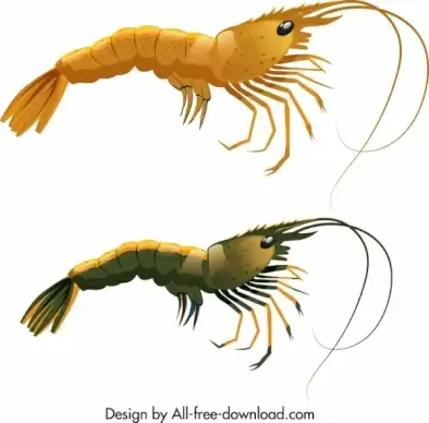 shrimp icons dark bright colored sketch