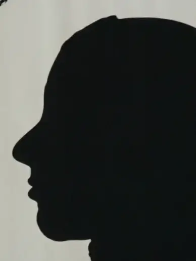 silhouette schiller person