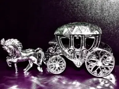 silver coach silver wedding anniversary