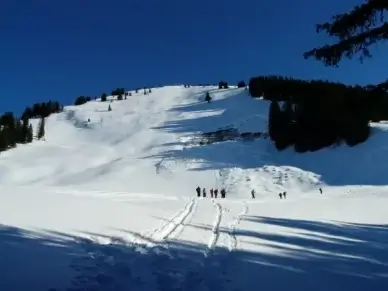 ski tour winter hike hike
