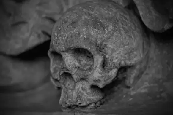 skull and crossbones skull dead
